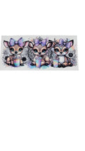 New arrival B0017
