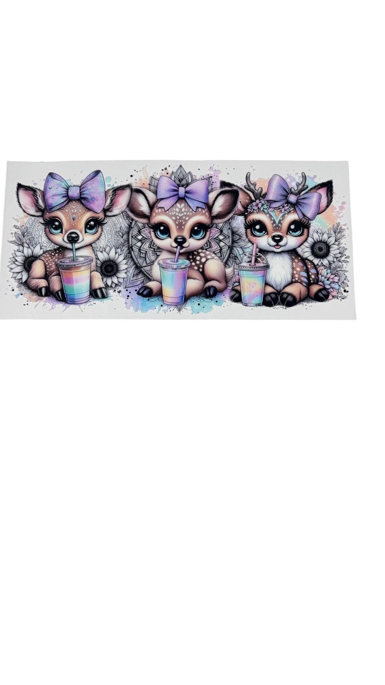 New arrival B0017