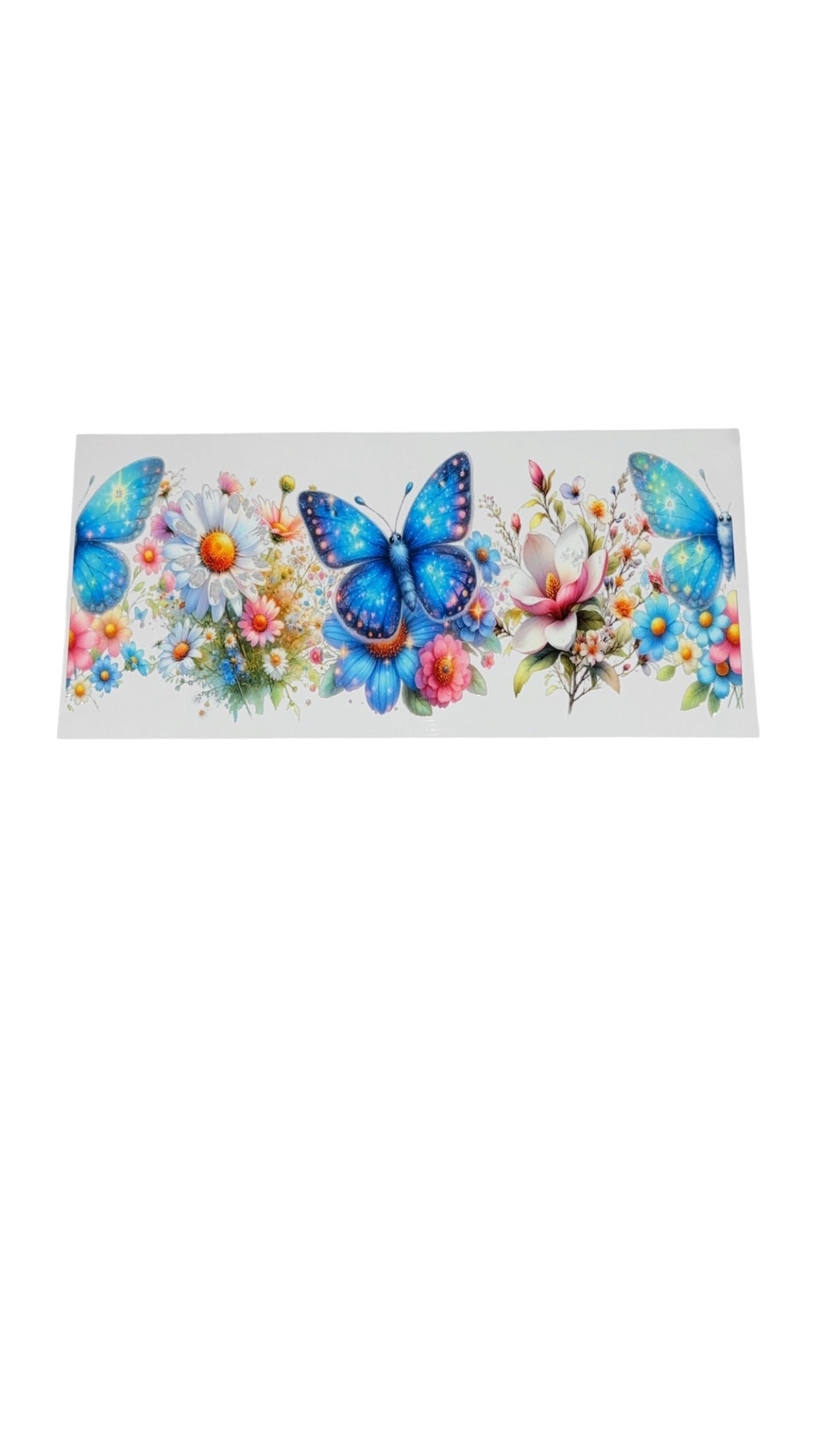New arrival C0021