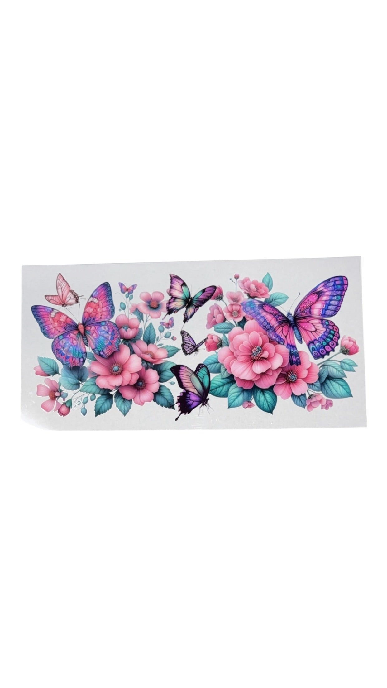 New arrival A00049