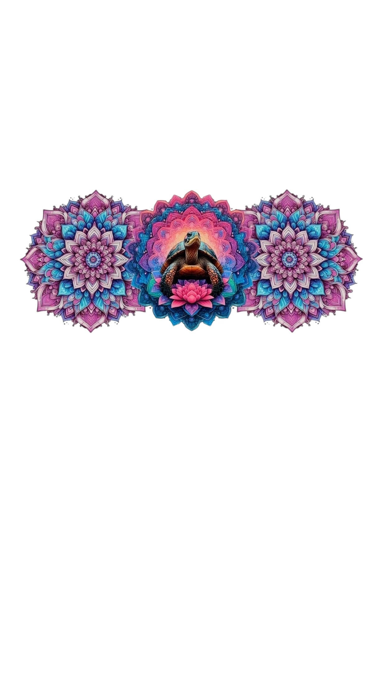 New arrival C0017