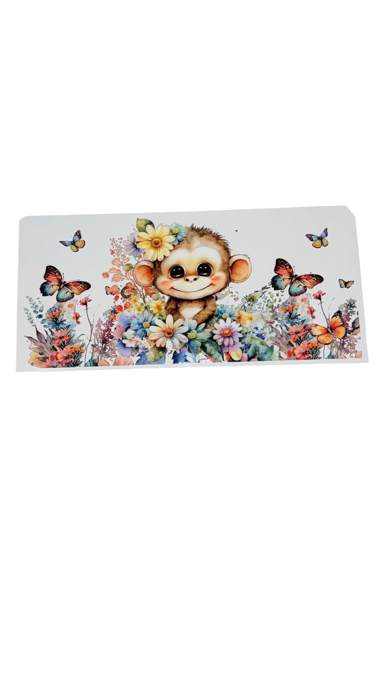 New arrival C0029