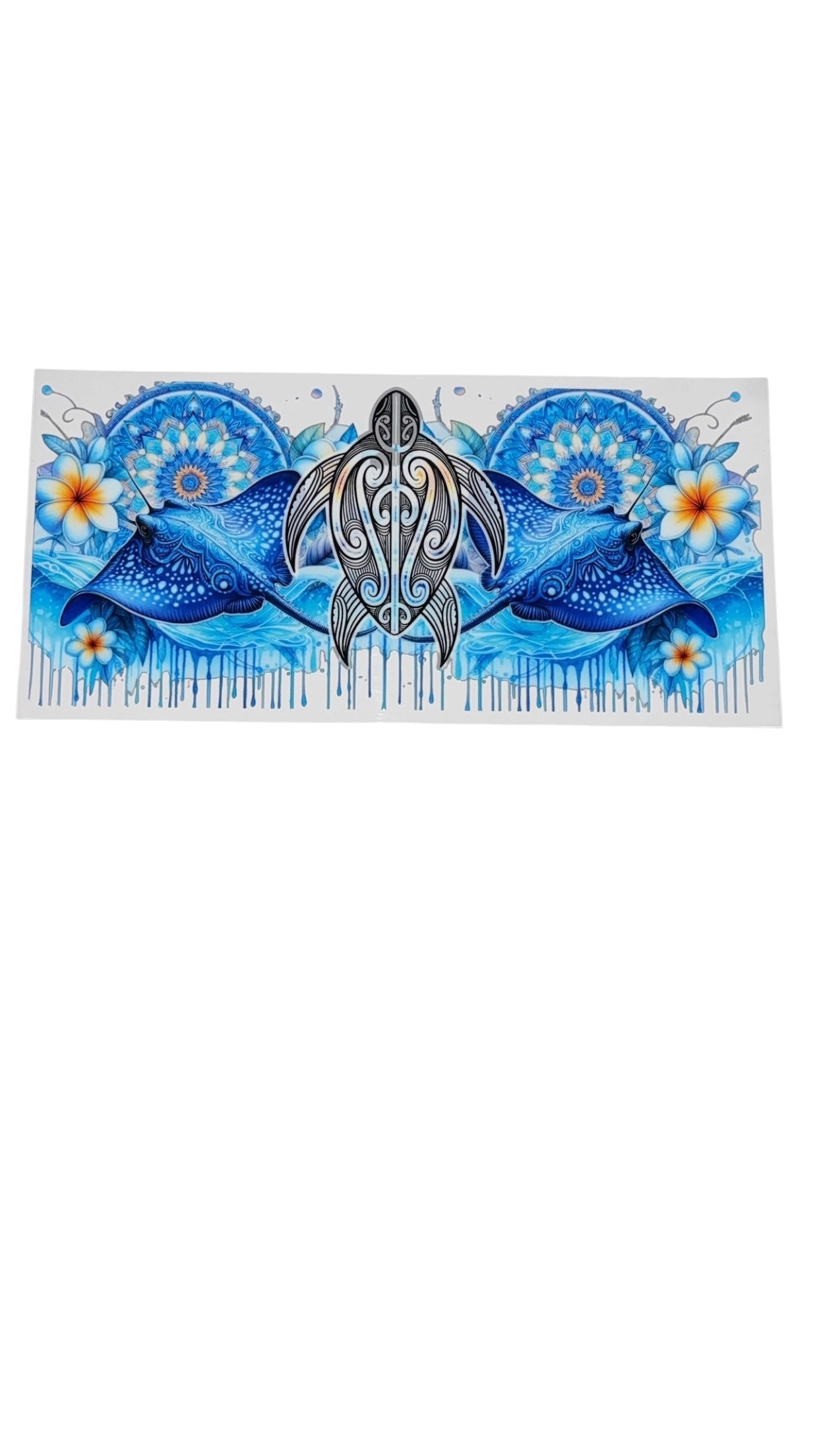 New arrival C0001