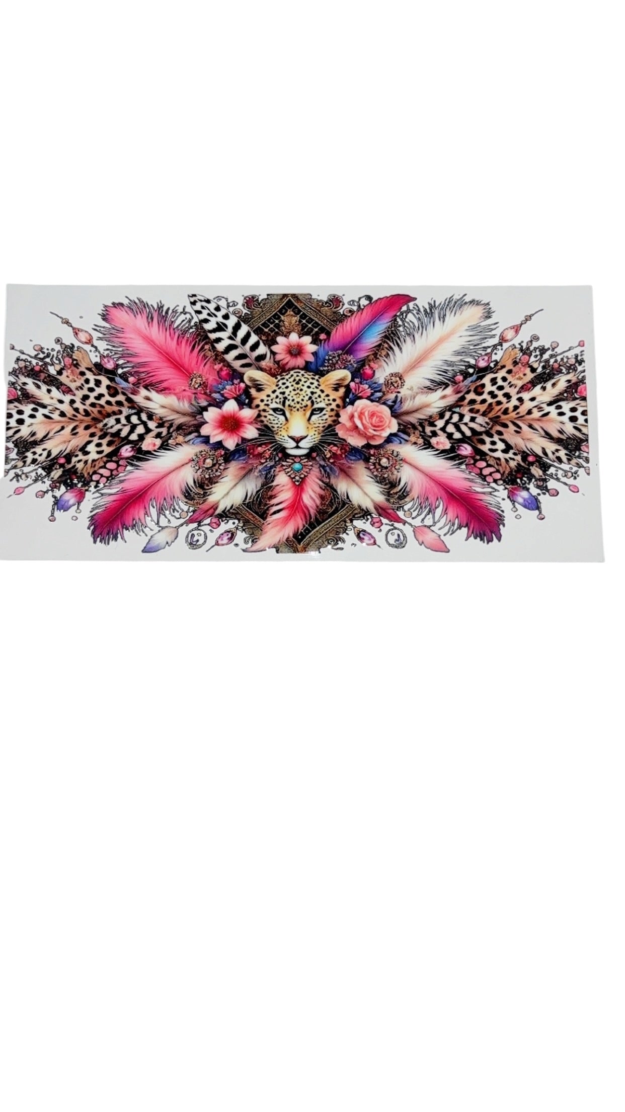 New arrival C0003