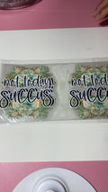 New arrival succulent plants