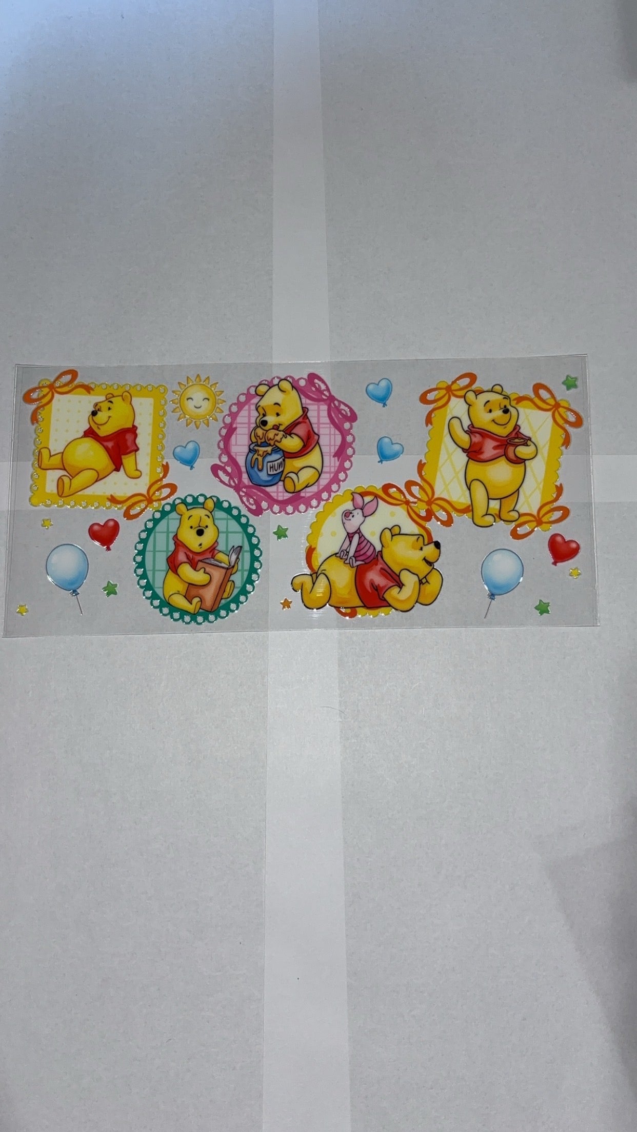 New arrival yellow bear portrait