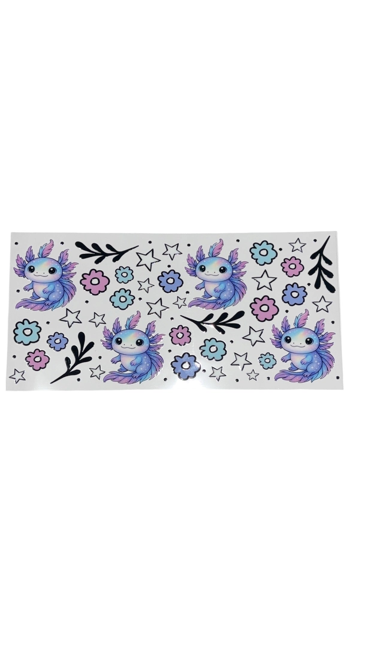New arrival B0003