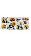 New arrival C0031