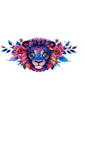 New arrival C0007