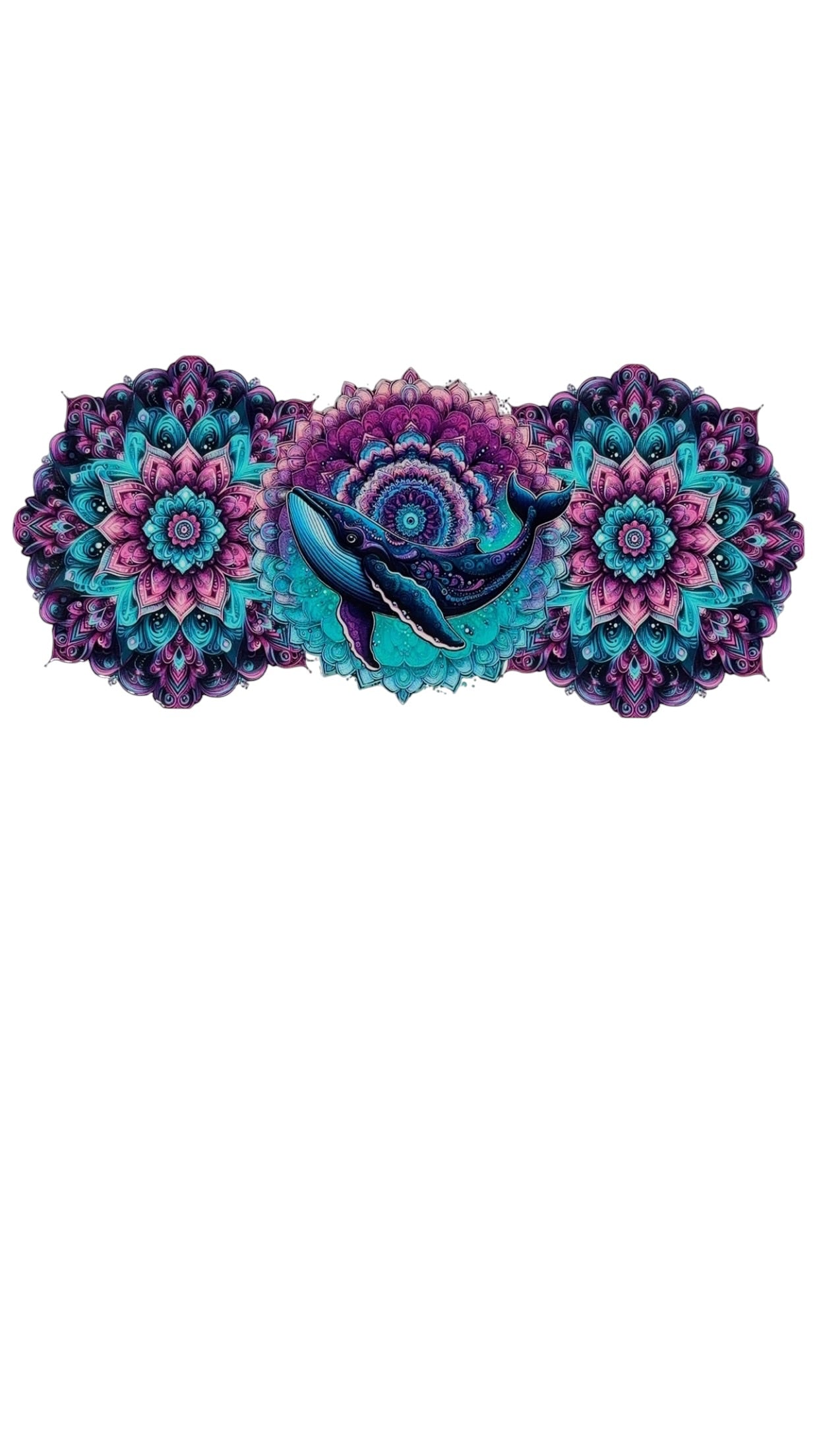 New arrival C0005