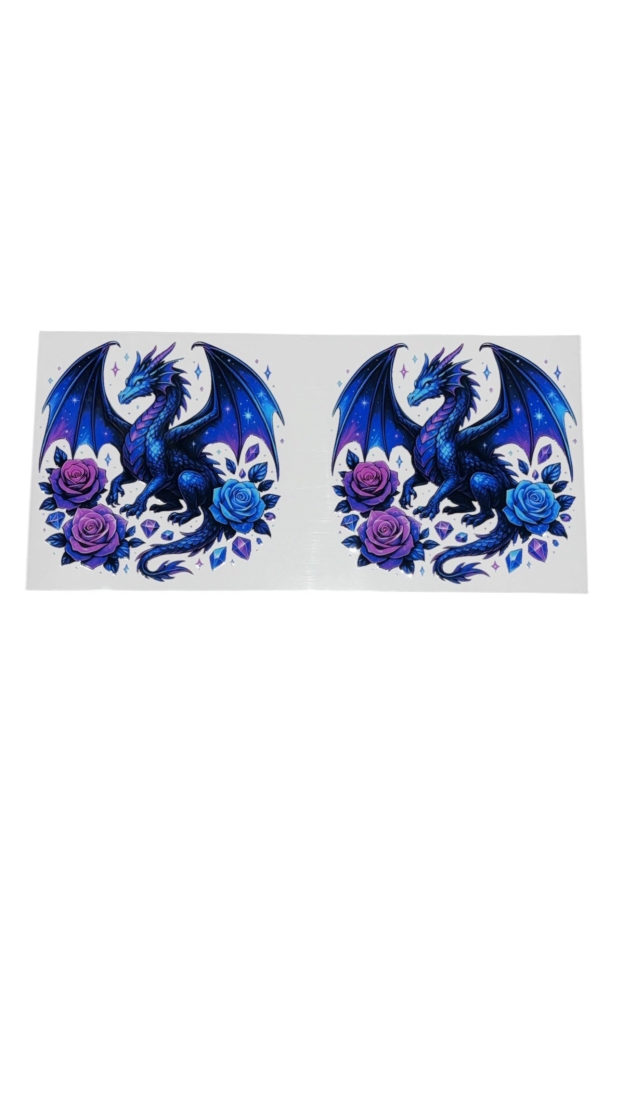 New arrival B0008