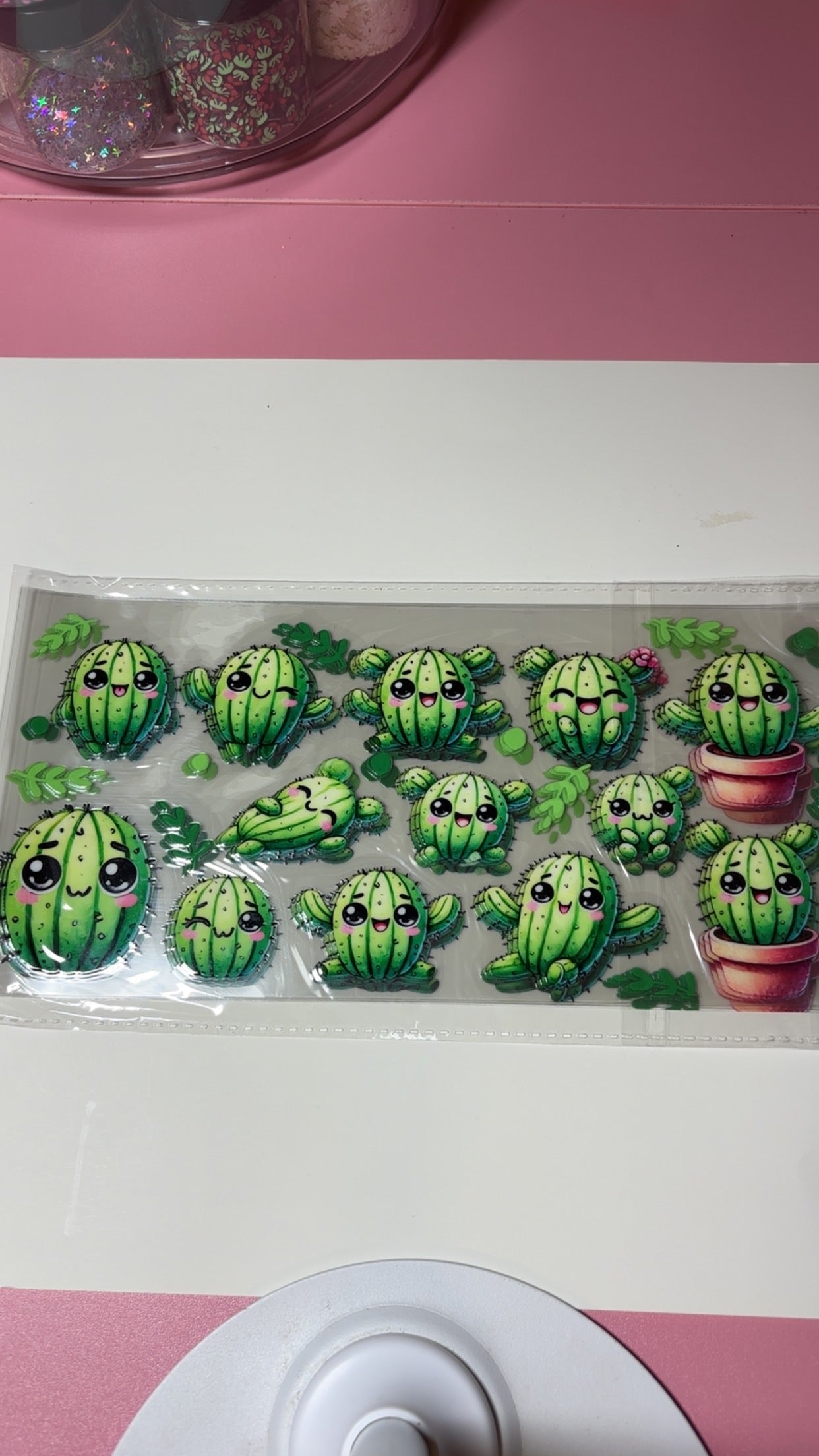 New arrival Wrap mini cactus