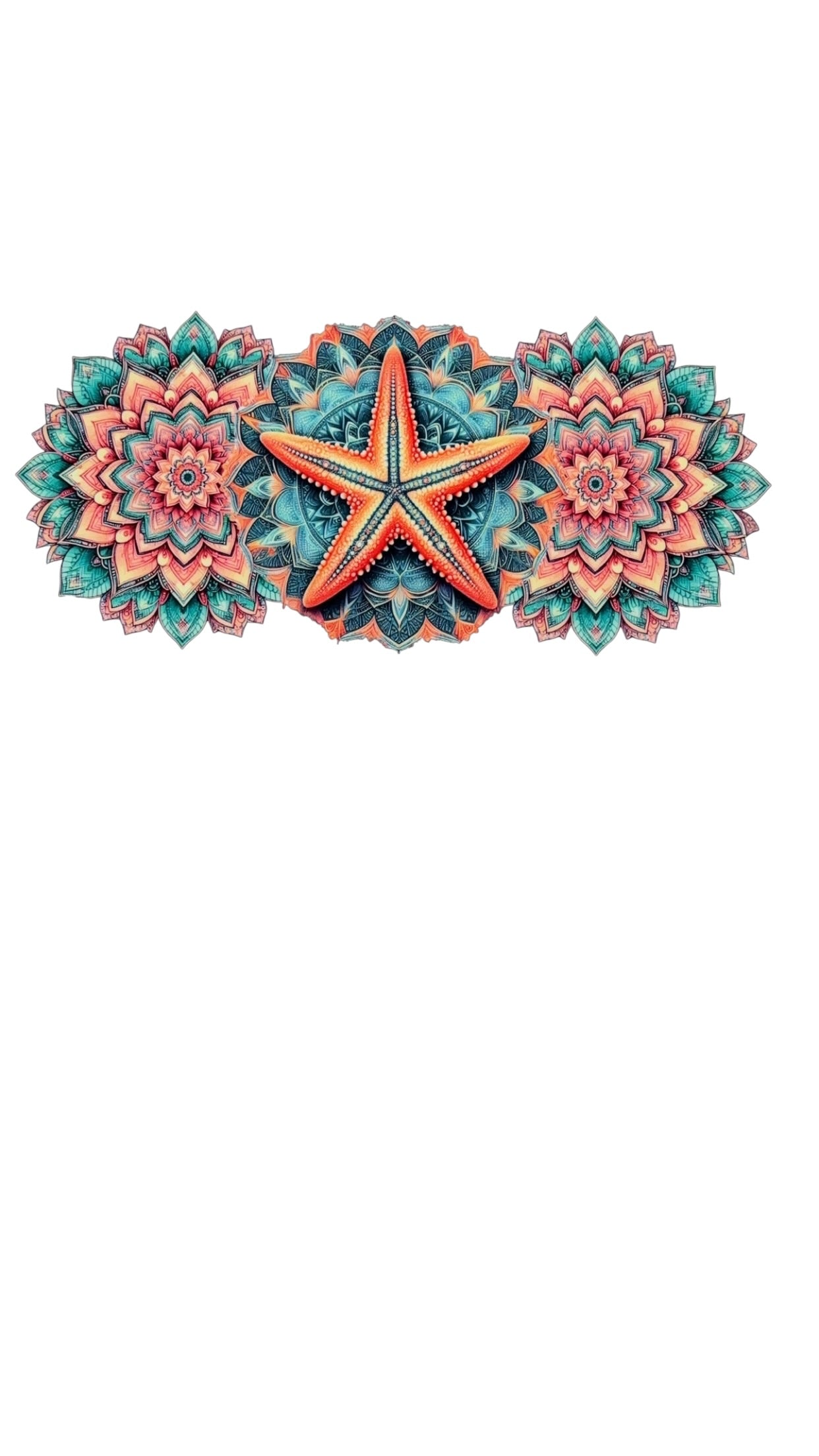 New arrival C0020