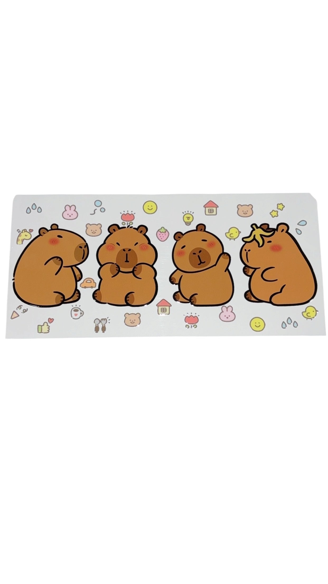 New arrival C0027