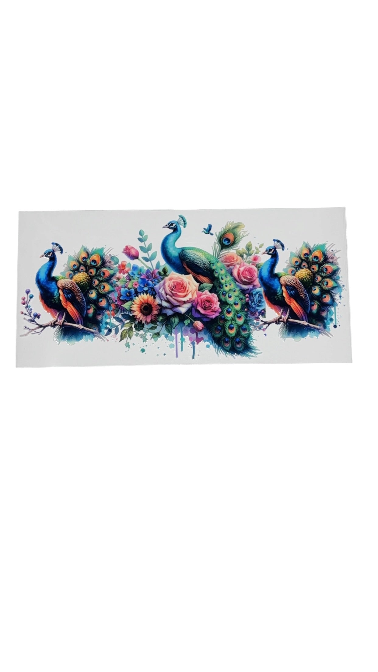 New arrival B0011
