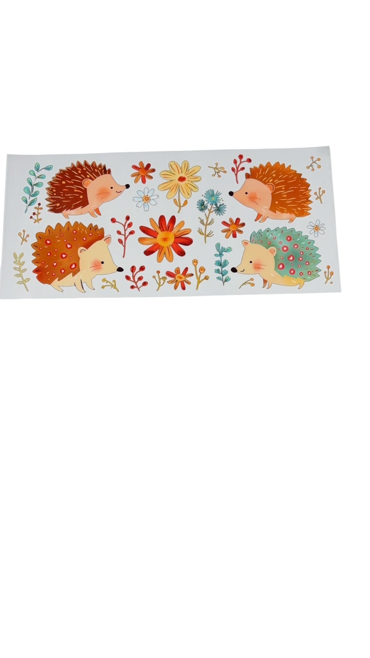 New arrival C0015