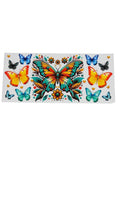 New arrival C0014