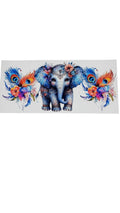 New arrival B0010