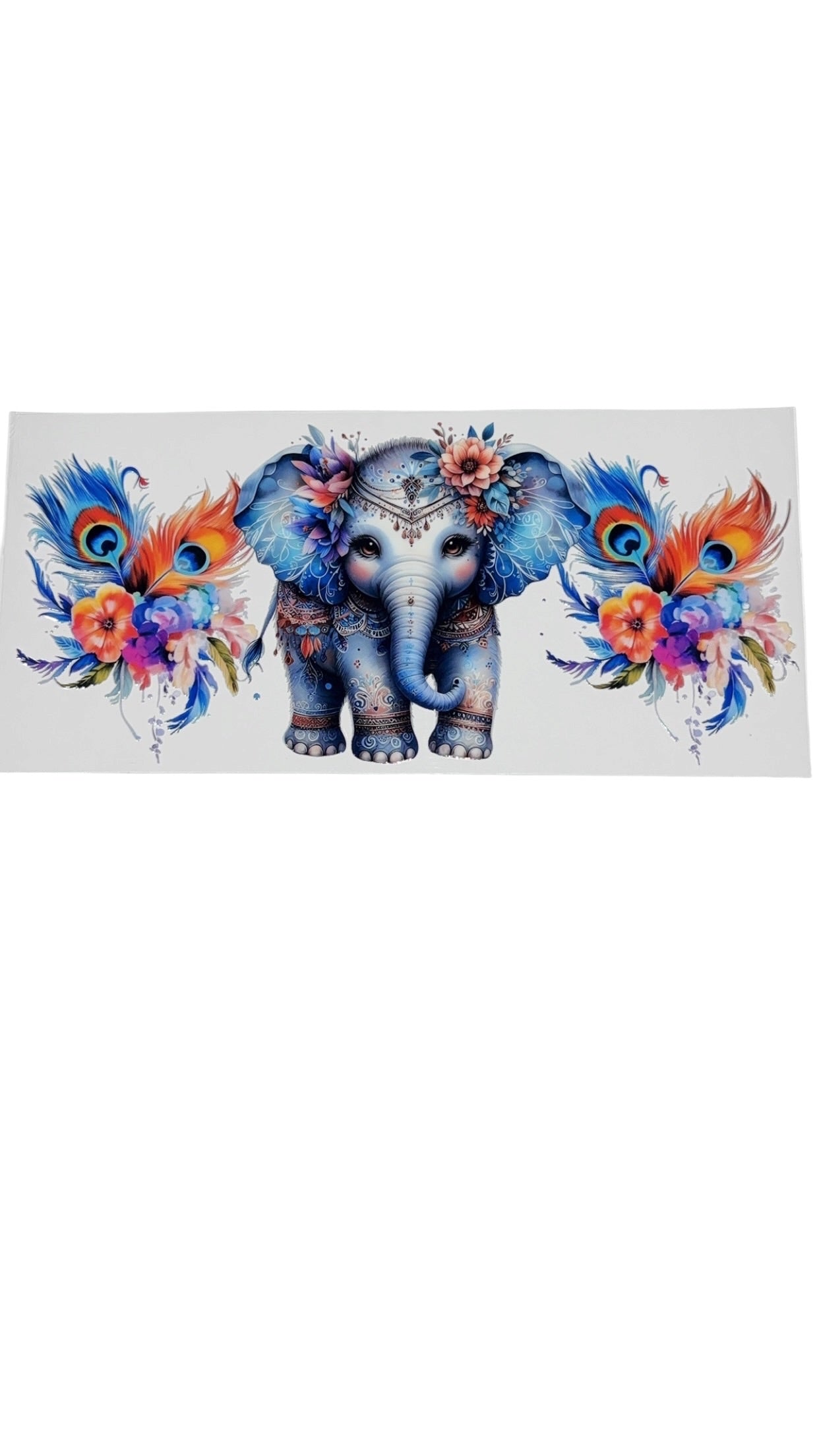 New arrival B0010