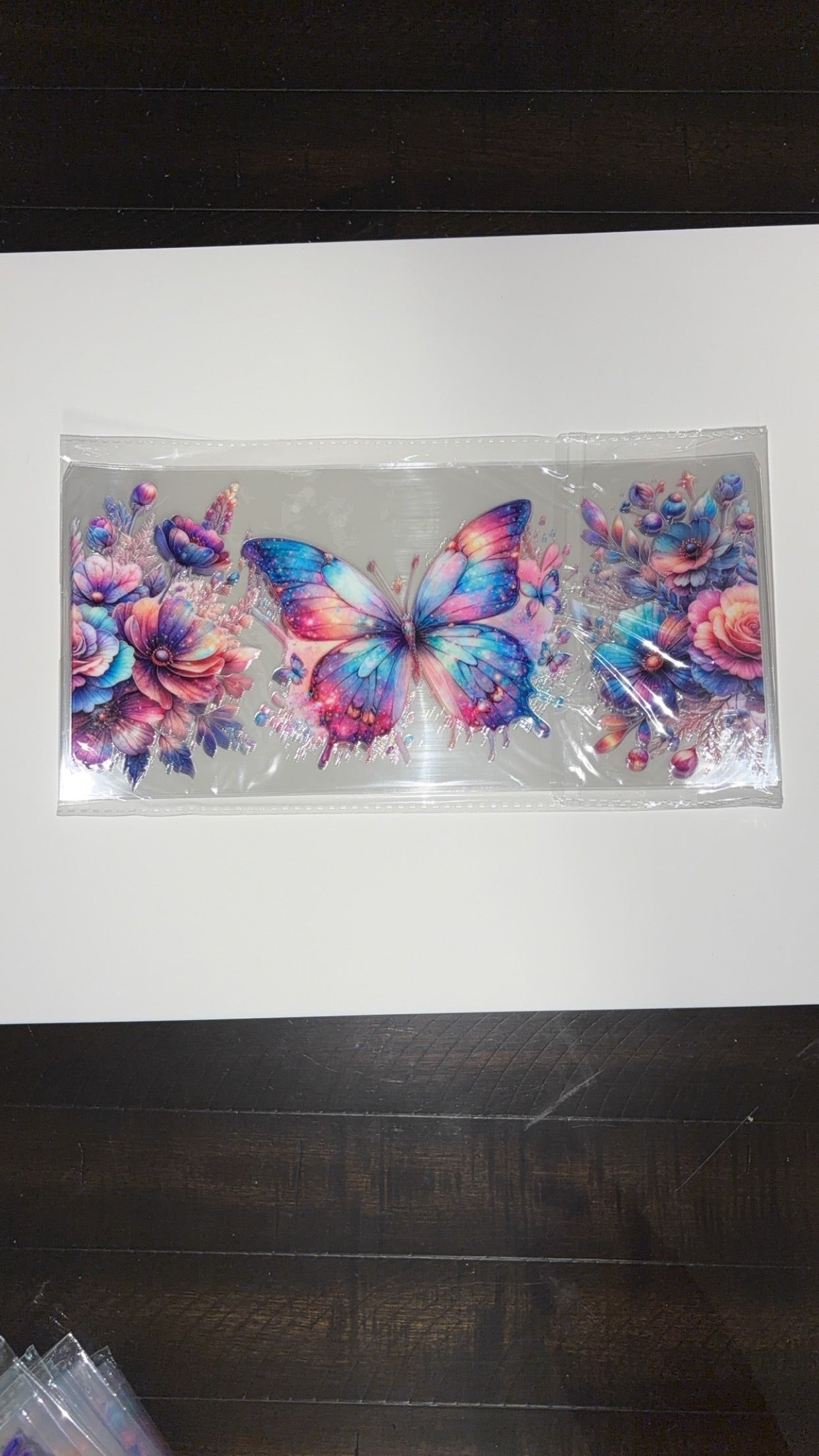 new arrival rainbow butterfly