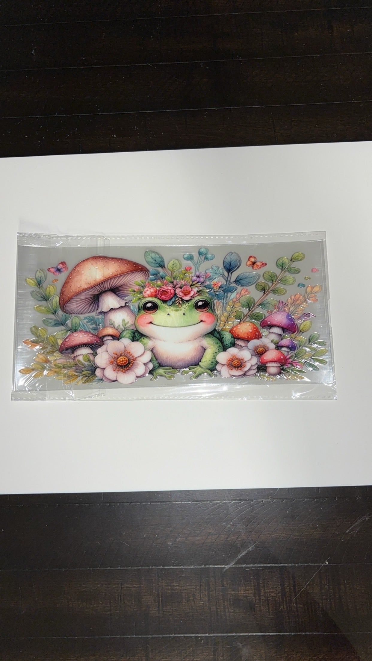 new arrival mushroom frog