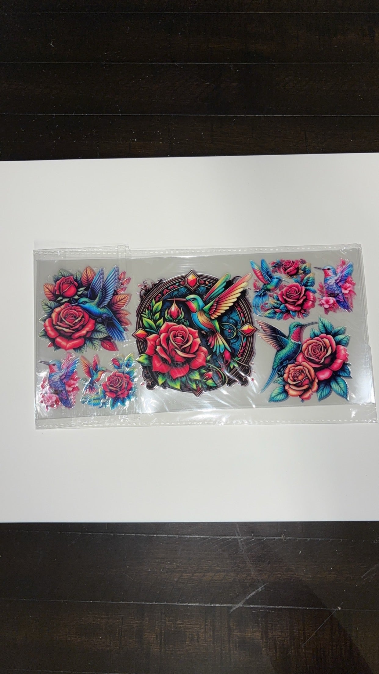 new arrival hummingbird