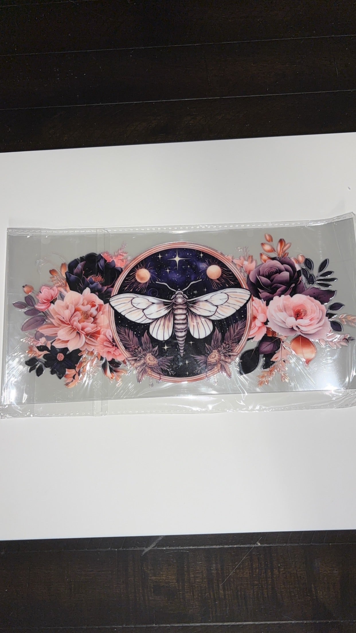 new arrival moth and light pink flower